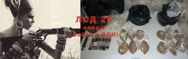 прущий лед Алзамай